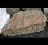 Photo of Bubble Rock 29 Metamorphic (Large)  - Marquis Gardens